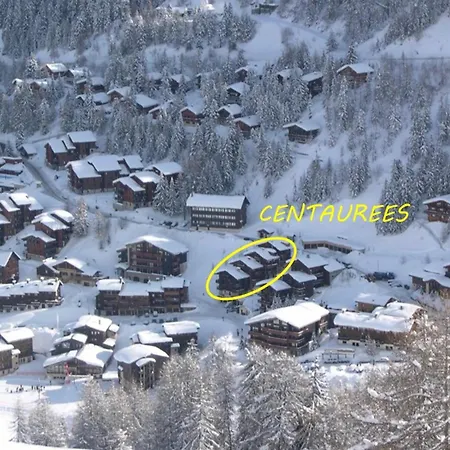 Grand Duplex Renove 4 Pres Des Pistes - Fr-1-455-64 La Plagne