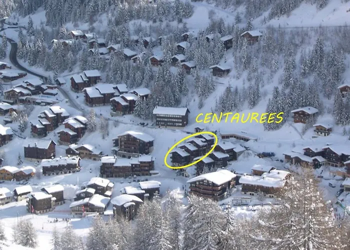 Grand Duplex Renove 4 Pres Des Pistes - Fr-1-455-64 La Plagne