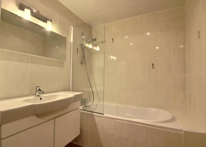 Grand Duplex Renove 4 Pres Des Pistes - Fr-1-455-64 *